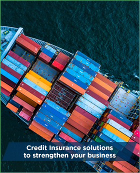 Credit insurance solutions